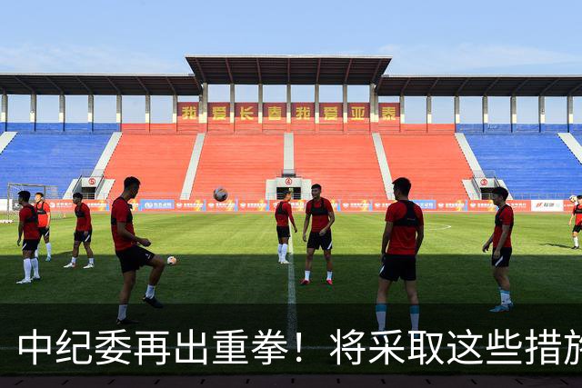 中纪委再出重拳！将采取这些措施，以钉钉子方式严查蝇贪蚁腐！