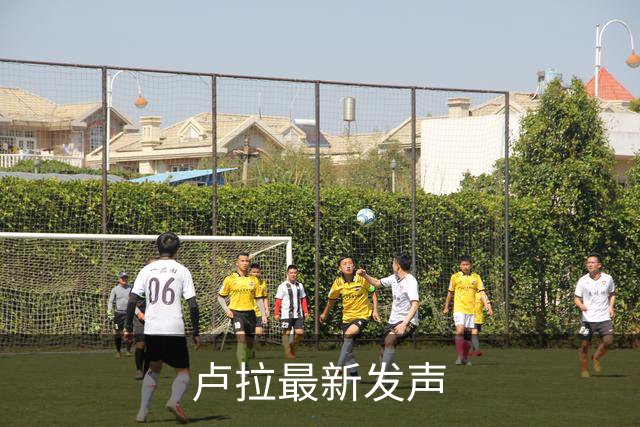 卢拉最新发声