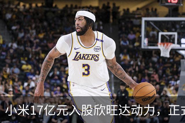 小米17亿元入股欣旺达动力，正式成为第三大股东