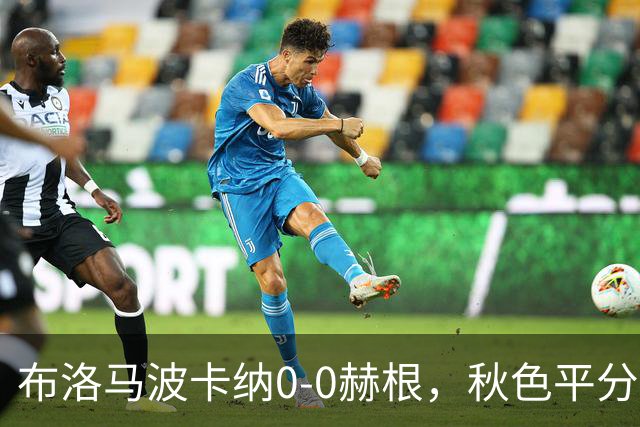 布洛马波卡纳0-0赫根，秋色平分