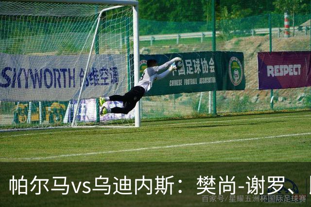 帕尔马vs乌迪内斯：樊尚-谢罗、比拉勒-图雷首发，扎尼奥洛、凯南-戴维斯出战