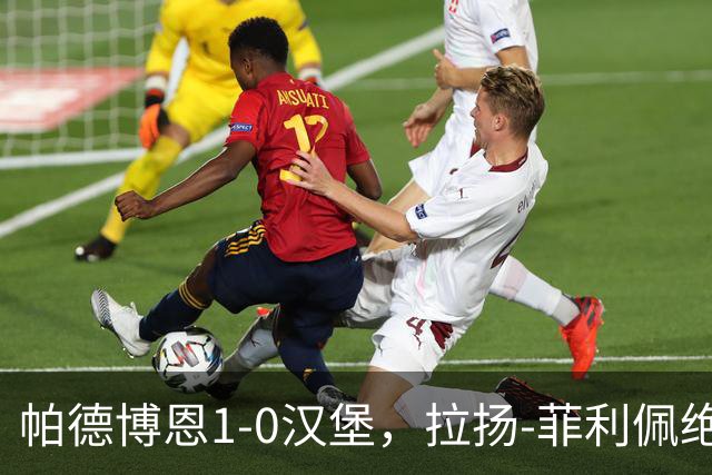 帕德博恩1-0汉堡，拉扬-菲利佩绝杀