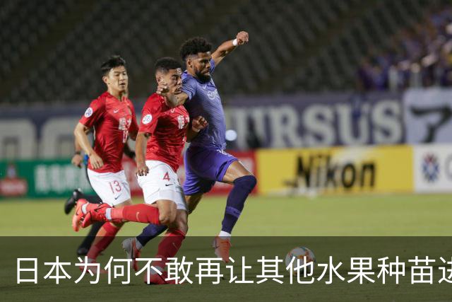 日本为何不敢再让其他水果种苗进入中国？别以为只是贸易摩擦。日本不愿放水果进中国，是因为被“偷家”偷怕了