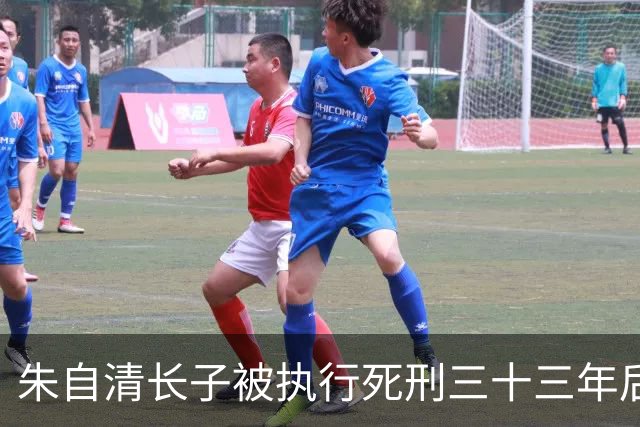 朱自清长子被执行死刑三十三年后，法院认定判决错误决定撤销原判