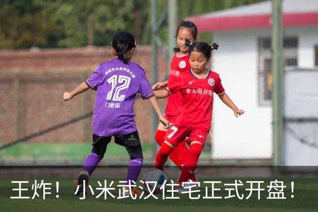 王炸！小米武汉住宅正式开盘！