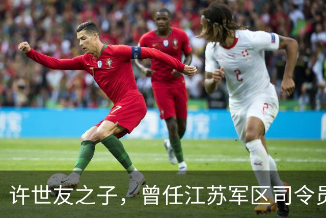 许世友之子，曾任江苏军区司令员，49岁升少将，现在是什么职务？