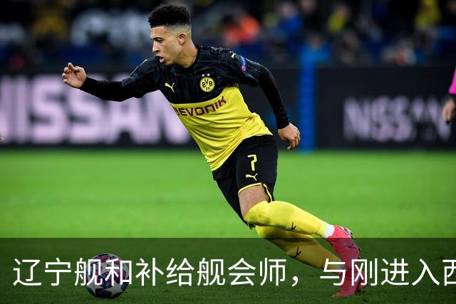 辽宁舰和补给舰会师，与刚进入西太两支编队，已形成东西呼应态势